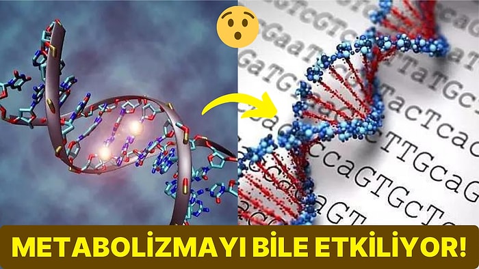 Canlıların En Önemli Yapı Taşlarından Biri Olan DNA'nın Sırları Ortaya Çıkarılabilir mi?
