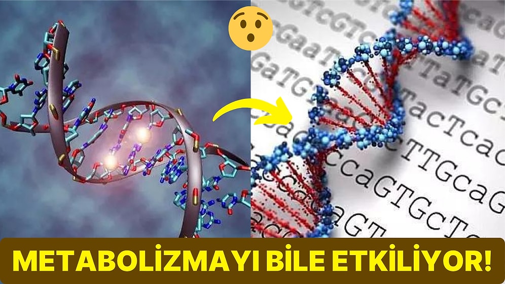 Canlıların En Önemli Yapı Taşlarından Biri Olan DNA'nın Sırları Ortaya Çıkarılabilir mi?