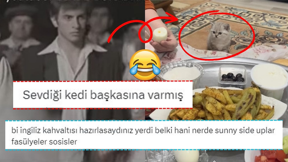 "Cins Kedi Ne Yer?" Sorusuna Verdikleri Kafa Açan Cevaplarla Kahkaha Krizine Sokan Kullanıcılar!