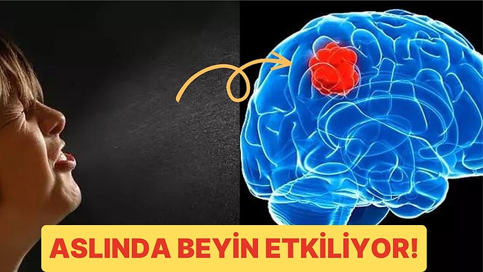 Bilincimizin Neredeyse Kapandığı Uyku Esnasında Neden Hapşıramayız?