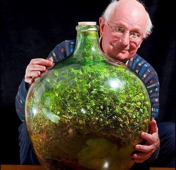 1960 yılında, David Latimer büyük bir cam şişenin içine telgraf çiçeğinin tohumunu ekti. Çeyrek litre su ekledi ve ardından ağzını kapattı.