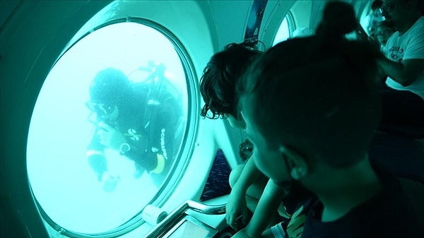 Nemo, who is the center of attention of local and foreign tourists, visits the wreck of St. Didier at a depth of 35 meters.