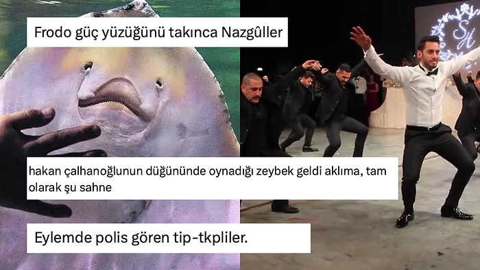 Bu Nasıl R? Sahilde Bayır Aşağı Koşan Deniz Canlılarının Paylaşıldığı Videoya Gelen Birbirinden Komik Yorumlar