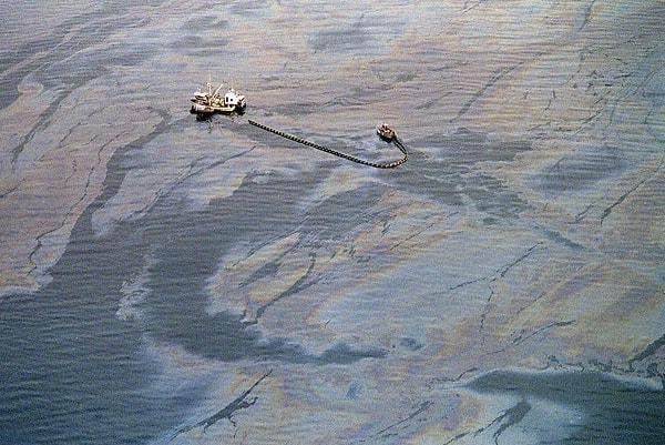 Kazada yaklaşık 11 milyon varil ham petrolün denize yayılmasıyla, deniz yaşamı büyük zarar görmüştür.