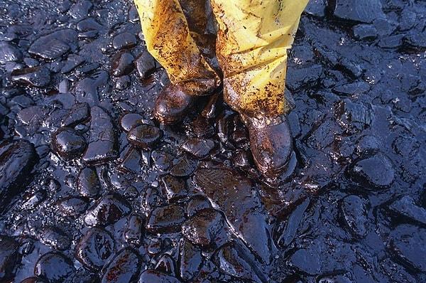 Exxon Valdez kazasının çevresel etkileri kıyı ekosistemini de etkilemiştir.