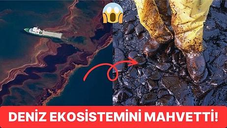 Milyonlarca Galon Petrolün Denize Aktığı Exxon Valdez Kazası ve Çevreye Etkileri