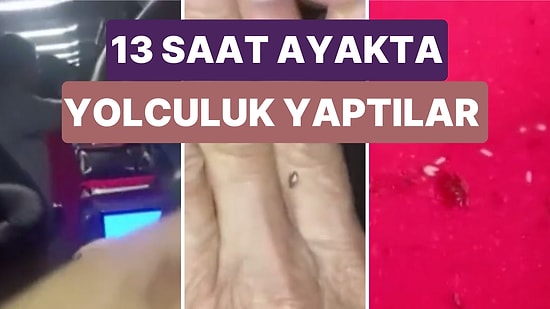 Mersin - İstanbul Otobüsünde Böcekler Sebebiyle Yolcular 13 Saat Boyunca Ayakta Yolculuk Yaptılar