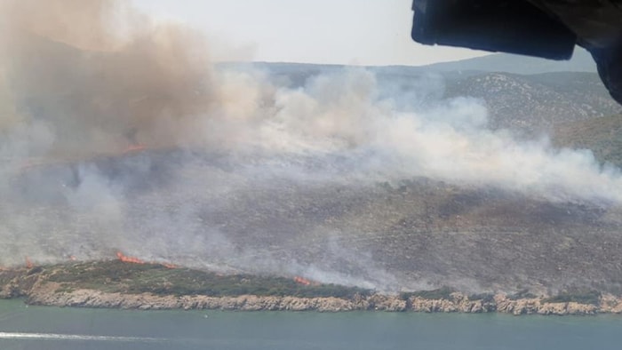 Korkulan Oldu: İzmir’de Orman Yangını