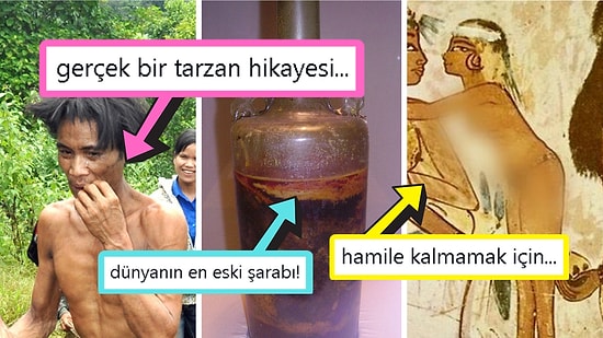 Öğrenince Size Küçük Çaplı Şok Geçirtecek Daha Önce Hiç Duymadığınız 15 İlginç Bilgi