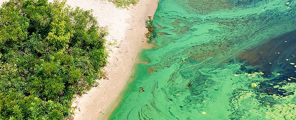 Burada, araştırmacılardan oluşan ekip MODIS-Aqua uydusundan elde edilen yaklaşık 20 yıllık verinin yeterli olduğunu, yani iklim değişikliğini daha hızlı gözlemleyebileceğimizi, anlayabileceğimizi ve tepki verebileceğimizi gösterdi.