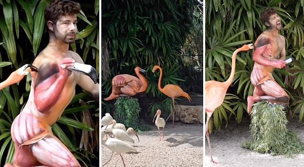 Bir model vücudunu flamingo şeklinde boyatarak, flamingoların bulunduğu bir alana girdi.