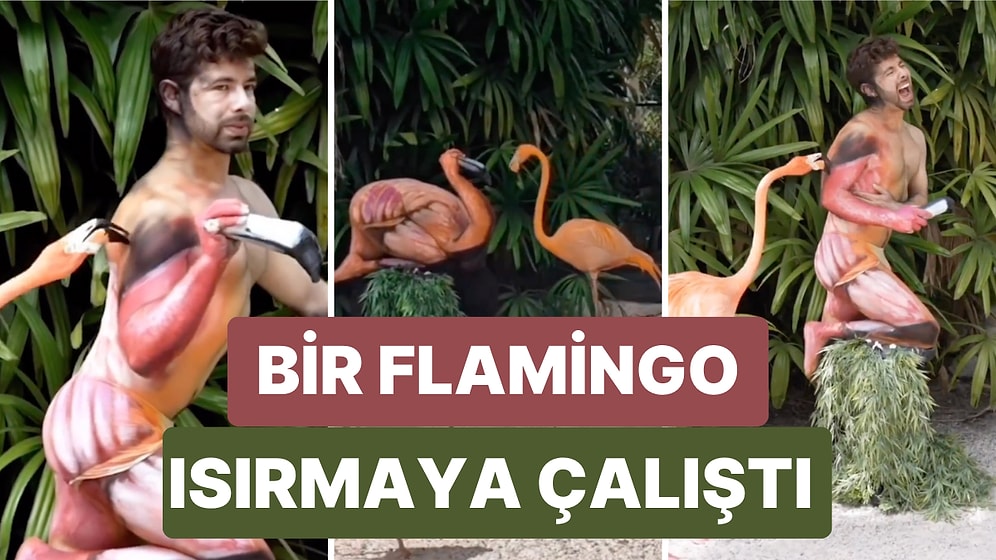 Vücudunu Flamingo Şeklinde Boyayarak Flamingoların Arasına Giren Modelin Gülümseten Anları