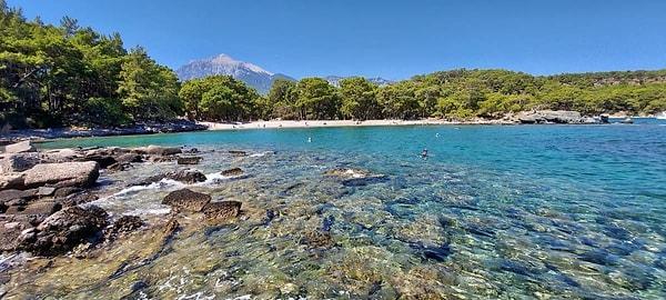 Cool Off Under the Trees: Phaselis Cove, Kemer