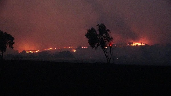 Yangın, saat 17.30 sıralarında merkeze bağlı Kızılkeçili köyüne yakın ormanlık alanda çıktı.
