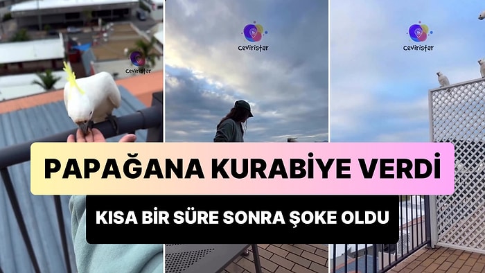 Kahvaltı Yaptığı Sırada Yakınına Gelen Papağana Kurabiye Veren Kadın Kısa Bir Süre Şoke Oldu