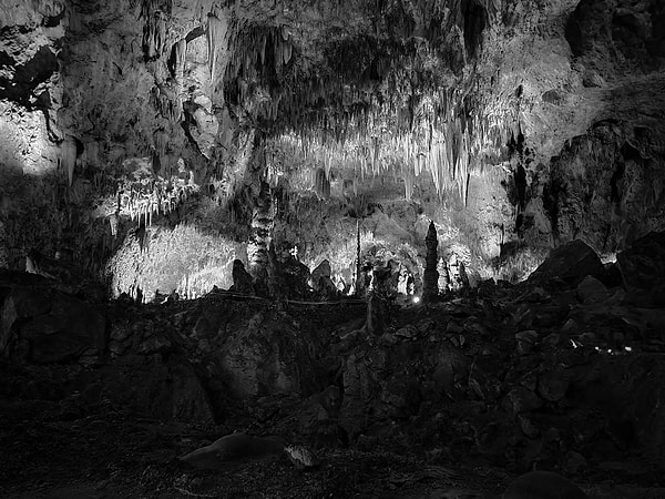 Movile Cave'in izolasyonu, yüksek biyolojik çeşitlilik seviyelerine ve endemizme katkıda bulundu.