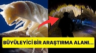 Bilim İnsanlarının 5 Milyon Yıldır İzole Olan Bölgede Keşif Yaptığı Eşi Benzeri Görülmemiş Mağara