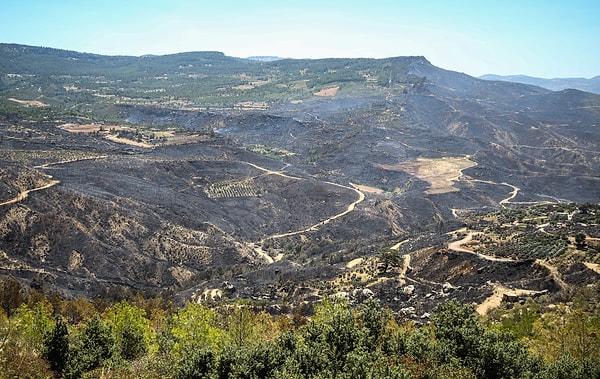 Mersin'in Gülnar ilçesinde yangının ormana verdiği hasar böyle görüntülendi 📸