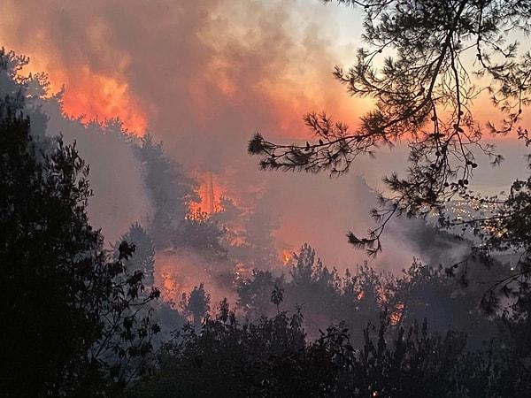 Çanakkale'de dün başlayan orman yangını devam ediyor, ekipler yangını kontrol almak için havadan ve karadan müdahalelerini sürdürüyor