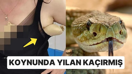 Sınırdan Geçerken İç Çamaşırında Yılan Sakladığı Ortaya Çıkan Kadın Ülkeyi Ayağa Kaldırdı