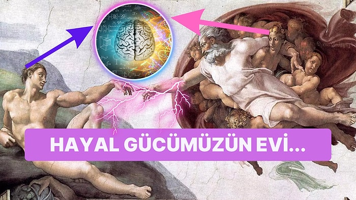 Hayal Gücümüz Beynimizin Hangi Bölgesinde Yer Alır?