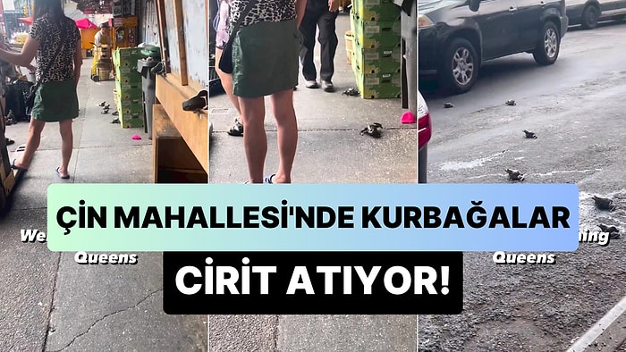 New York'ta Bulunan Çin Mahallesinde, Etrafta Cirit Atan Kurbağalar Yüzünden Kaldırımda Yürüyemeyen Kadın