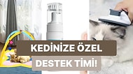 Yaşlı Kedinizin Satın Aldığınız İçin Size Teşekkür Edeceği 12 Şey
