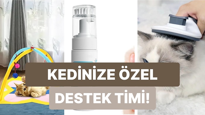 Yaşlı Kedinizin Satın Aldığınız İçin Size Teşekkür Edeceği 12 Şey