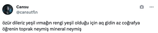 "Özür dileriz yeşil ırmağın rengi yeşil olduğu için!"