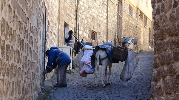 Kentte araçların giremediği dar sokaklara giren eşekler belediye kadrosunda çalıştırılıyor ve sırtlarına bağlanan kovalarla hizmet veriyor.