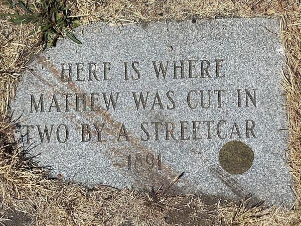 3. "Burası Matthew'nun bir araç tarafından ikiye ayrıldığı yer."