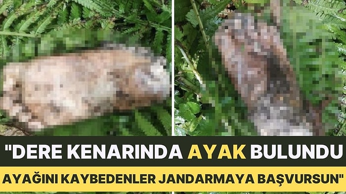 Dere Kenarında Kopmuş Ayak Bulundu: Belediye Anonsla Sahibini Arıyor!