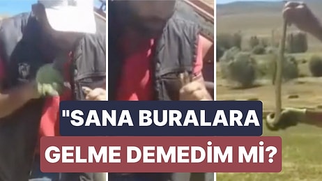 Tarlasında Bulduğu Yılanı Kedi Sever Gibi Seven Çifti:"Seni Yaratana Kurban Olurum Sen Buralara Nerden Geldin"