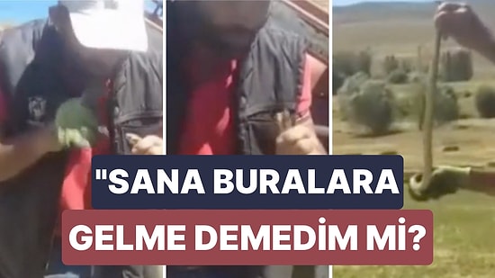 Tarlasında Bulduğu Yılanı Kedi Sever Gibi Seven Çifti:"Seni Yaratana Kurban Olurum Sen Buralara Nerden Geldin"