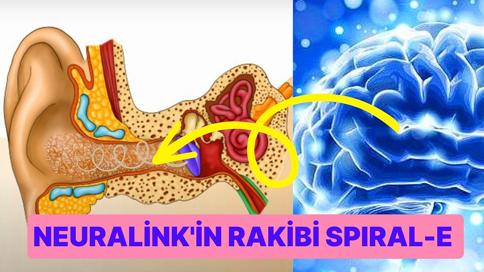 Neuralink'e Rakip Çıktı: Bilim İnsanları Ameliyatsız Yerleştirilen Beyin-Bilgisayarı Yaptı