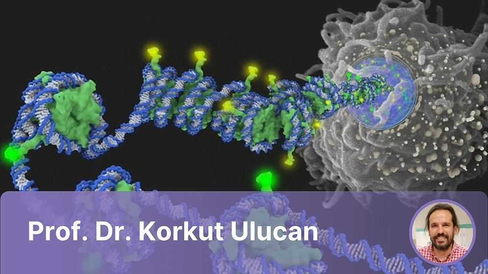 Uzun Yaşam Mümkün mü? Genetik mi Epigenetik mi?