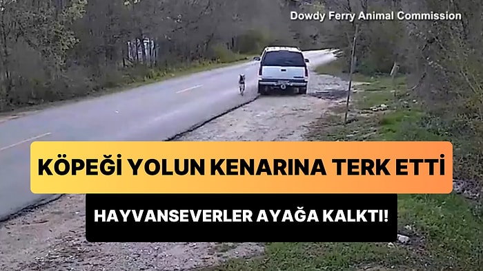 Alman Kurdu Köpeğini Yolun Kenarına Terk Eden Adamın Tepki Çeken Görüntüleri