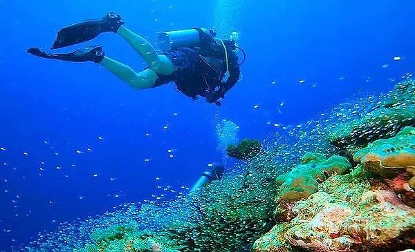 Ters dalış, aynı zamanda su altında daha iyi manevra kabiliyeti sağlar.