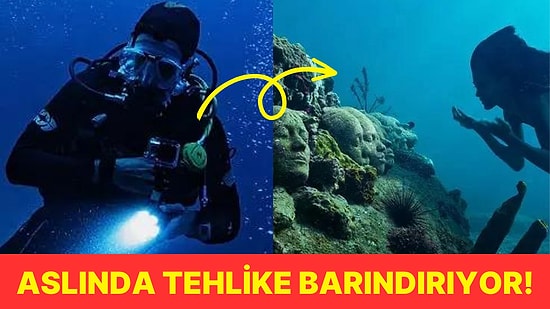 Denizin Derinliklerine Kısa Bir Yolculuk Yapan Dalgıçlar Neden Suya Ters Şekilde Dalar?