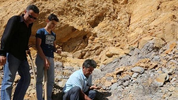AA muhabirleri ile konuşan Murat Haşlak, ilk bilimsel çalışmanın Dokuz Eylül Üniversitesi Jeoloji Bölümü'nde görevli olan akademisyenlerin yaptığını ve kehribarın bu şekilde tespit edildiğini paylaştı.