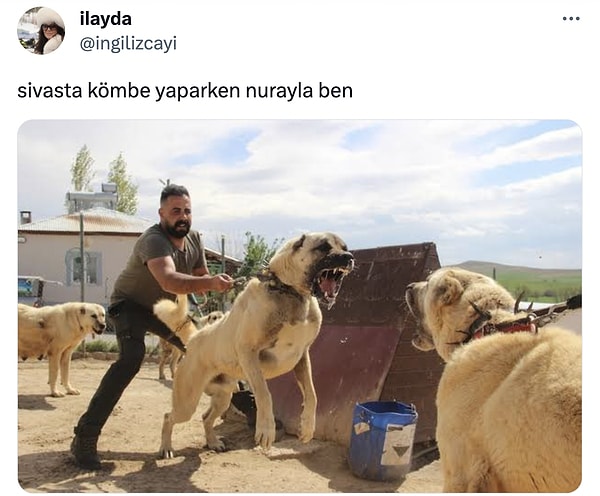 Sivaslı editörünüz bu tweeti çok sevdi! 😂