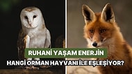 Ruhani Yaşam Enerjin Hangi Orman Hayvanı ile Eşleşiyor?