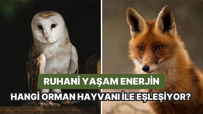 Ruhani Yaşam Enerjin Hangi Orman Hayvanı ile Eşleşiyor?
