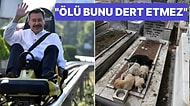 Melih Gökçek Mezarlıkta Yatan Köpekler İçin Mansur Yavaş'a Çatayım Derken Kendi Kitlesinden Bile Tepki Gördü
