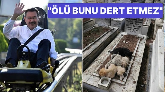 Melih Gökçek Mezarlıkta Yatan Köpekler İçin Mansur Yavaş'a Çatayım Derken Kendi Kitlesinden Bile Tepki Gördü