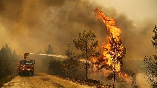 Wildfires Engulf Turkey's Coastal Region: Evacuations and Intense Efforts to Control Blaze