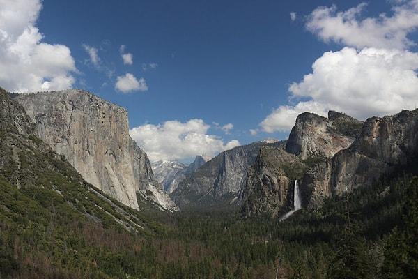 7. 2000 yılında Rick Norsigian, üzerlerinde Yosemite Ulusal Parkı'nın görüntüleri olan birçok cam plaka negatifini 45 dolara satın aldı.
