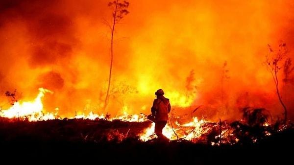 Dünya Sağlık Örgütü (DSÖ), kuzey yarım kürede etkili olan aşırı sıcaklıklar nedeniyle Cezayir, Yunanistan, İtalya ve Tunus'ta çıkan orman yangınlarının 40 kişinin ölümüne, binlerce kişinin tahliye edilmesine neden olduğunu açıkladı.