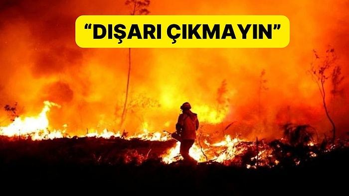 DSÖ'den Korkutan Açıklama: Orman Yangınları Can Aldı
