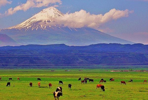11. Türkiye'nin en yüksek dağı olan Ağrı Dağı, çoğunlukla hangi ilde yer almaktadır?